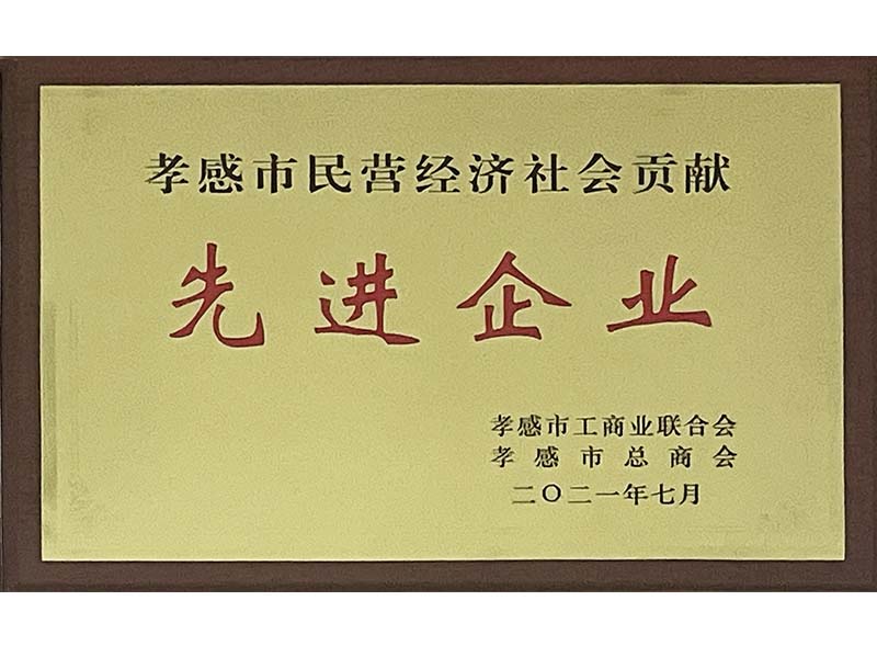 孝感市民營經濟社會貢獻-先進企業(yè)